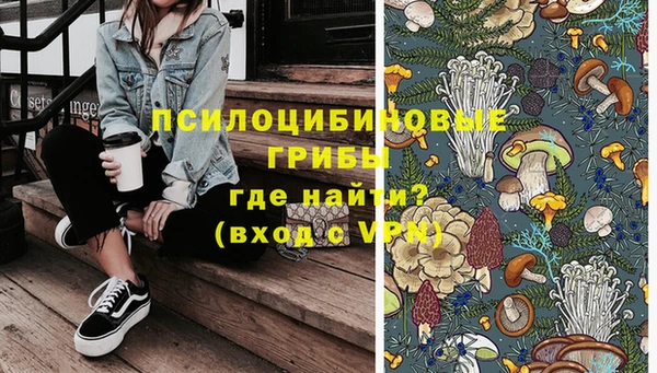 мяу мяу мука Куйбышев