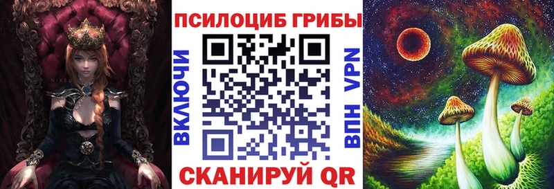 Купить  Белово  Псилоцибиновые грибы мицелий 